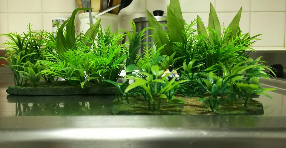 Aquatic Plants, Terrian Jungle Gallery DakkaDakka